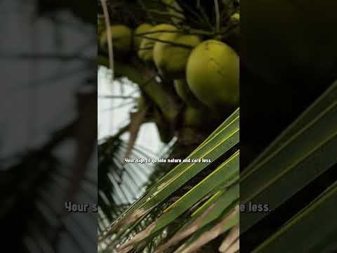 Frieden findet man in der Nature, sheesh 🙏  #natur #entschleunigung