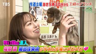 子犬と子猫にメロメロ♡福原遥＆細田佳央太が10万円でお買い物『王様のブランチ』8/1(土)【TBS】
