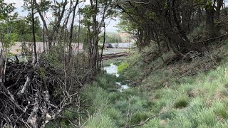 The Lehigh and New England railroad Lehigh Gap Palmerton spur. Palmerton PA. (1 of 4)