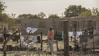 Download lagu Rise Of The Phoenix (Mr Shane SA 1060 Sounds Remix) Cognac & Lapie mp3 Download lagu Rise Of The Phoenix (Mr Shane SA 1060 Sounds Remix) Cognac & Lapie mp3