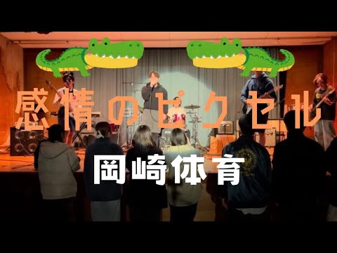 感情のピクセル／岡崎体育【cover】