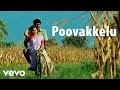Azhagarsamiyin Kuthirai Poovakkelu Video Ilaiyaraaja