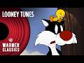 Looney Tunes Tweety And Sylvester Mega Compilation Warner Classics