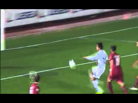 Livorno - Brescia 0 - 2 - Serie Bwin 2011-2012 - 20° Giornata - 16/12/2011