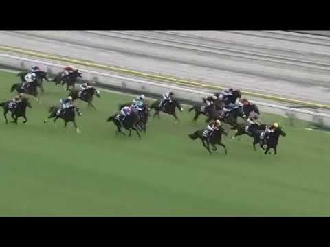 Schnell Meister wins G1 NHK Mile by a Nose