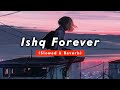 Ishq Forever Slowed Reverb Full Song Mere Ankhon Se Nikle Ansoo Song