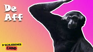 Schlieremer Chind - De Aff