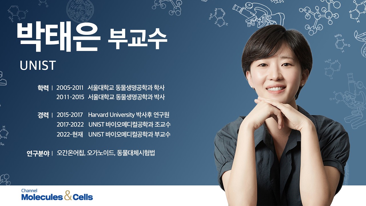 [2026 경암바이오유스 캠프] 오가노이드가 동물 모델을 대체할 수 있을까? - 박태은 교수(UNIST)
