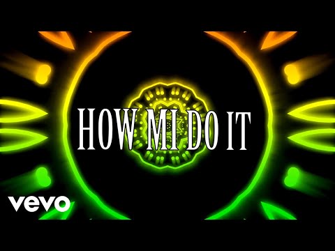 Tommy Lee Sparta, Que Da Wiz - How Mi Do It (Lyric Video)
