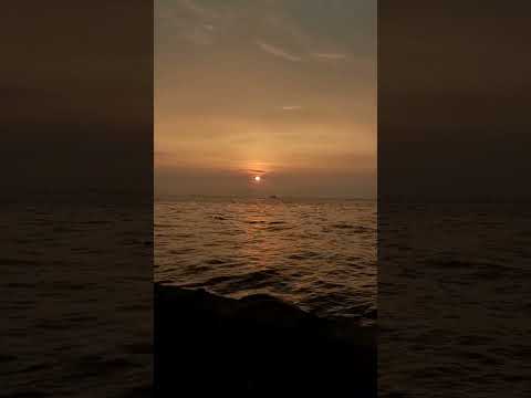Sunset Short #shortfeed #shortsfeed #shortsvideo #shorts#short