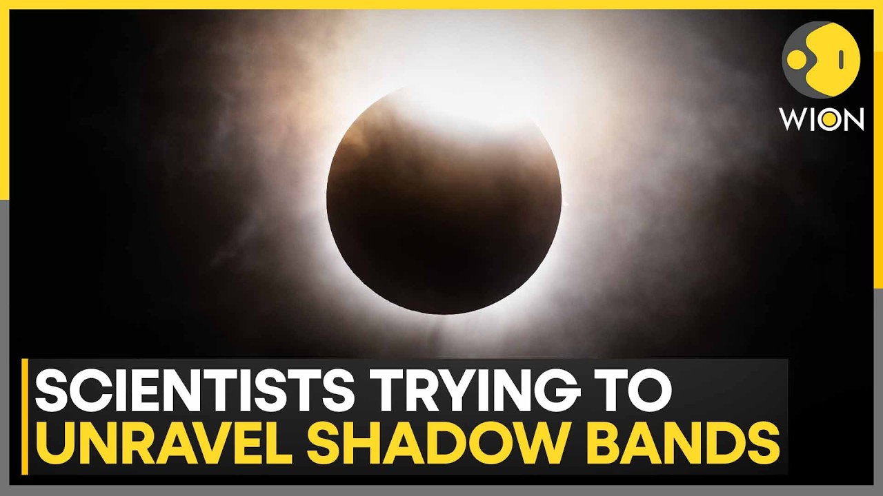 Mysterious Shadow Bands May Appear Around Eclipse Totality | WION News