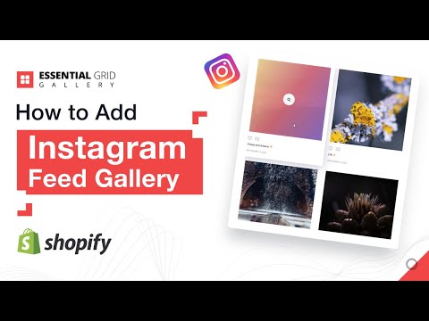 How to Add an Instagram Feed Gallery to Shopify | Boost Engagement & Conversions