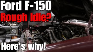 Ford F150 Rough Idle FIXED! Vacuum Leak or Bad Spark Plugs?