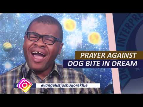 PRAYER AGAINST DOG BITE IN THE DREAM - Prayer Against Spiritual Dogs