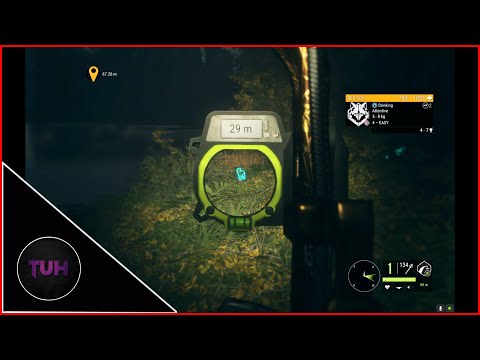 Mr Sommer's Red Fox with a Bow Mission | theHunter Call of the Wild