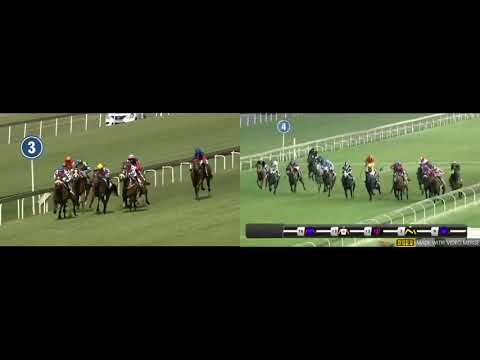 2020 & 2021 Gauteng Fillies Guineas