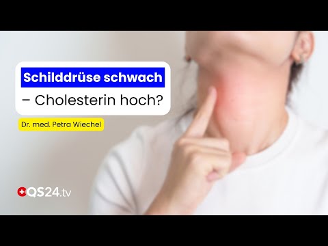 Cholesterol & Thyroid: The true connection that hardly anyone knows! | Visite | QS24