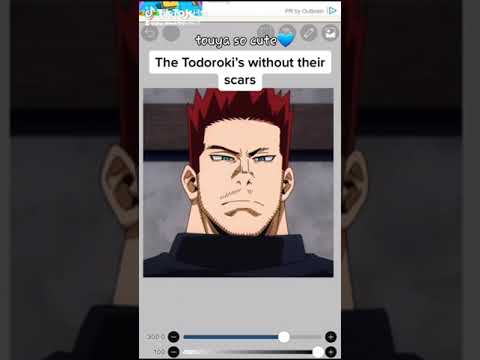 Todoroki's without scars #shoutotodoroki #endeavor #dabitodoroki #touyatodoroki #dabi #mha #short