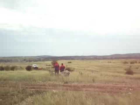 Baja Ungheria 2008 Al Ghamedi big jump