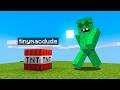 Hiding As Blocks From My Friends In Minecraft
