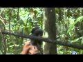 New images show isolated tribe that still lives in the ...