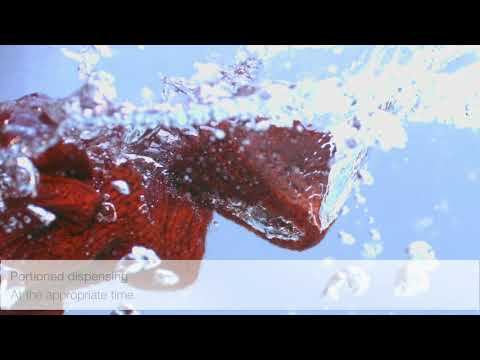 Miele Freestanding Washing Machine WER865 - White Video 2