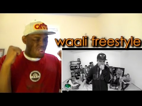 Waali Freestyle - PlanetaBeatbox REACTION!!!