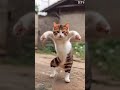 Are Baap Re Kya Dance Karta H Comedy Funny Cartoon Shortsvideo Subscribe Viralshort