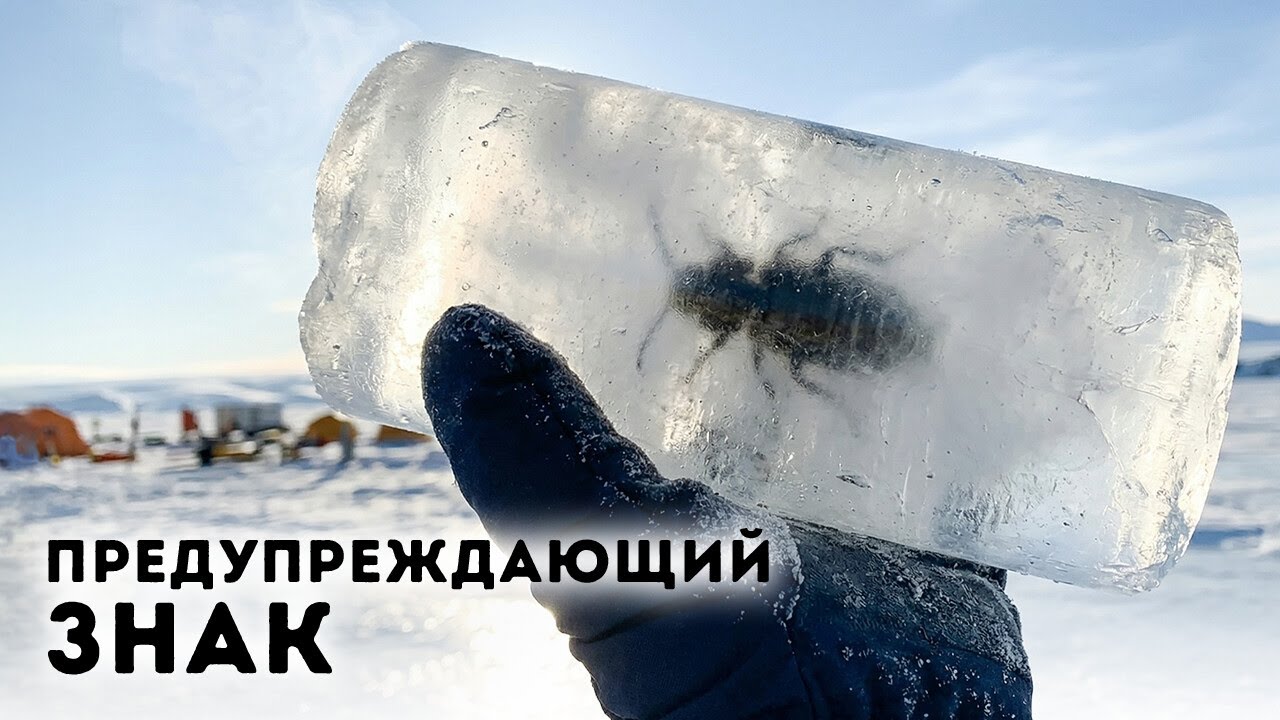 Лед Антарктиды может снова обрушиться - ученые нашли доказательства этого в 