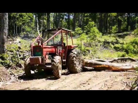 STARI TRAKTOR U AKCI IZVOZA VELIKI TRUPACA