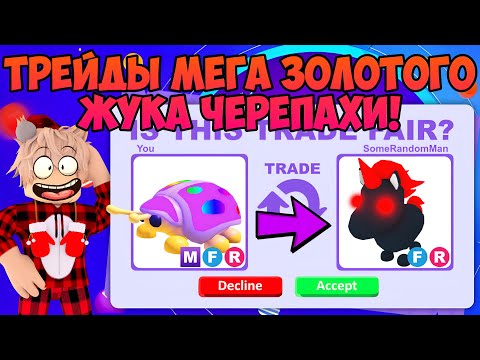 Золотой жук книга. Золотой жук черепаха адопт. Золотой жук шифр. Золотой жук аудиокнига. Жук листоед золотая черепаха.