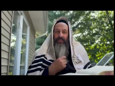 צדקה ברענגט פרנסה