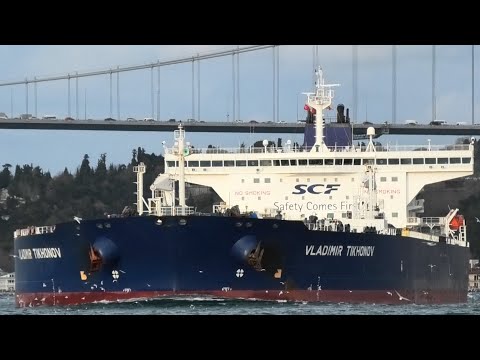 Ships in Istanbul Strait - January 2020
