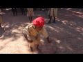 DAY OF THE AFRICAN CHILD ZAMBIA