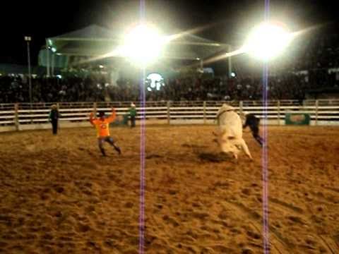 exporondon 2010 rodeio em touros