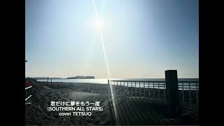 君だけに夢をもう一度（サザン•オール•スターズ）cover TETSUO