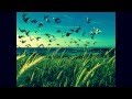 Caspian - Sea Lawn