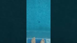 preview picture of video 'Getting the pucks out of the pool'
