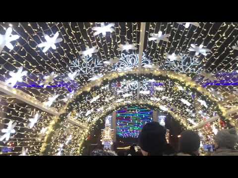 Сокольники в новогодние праздники