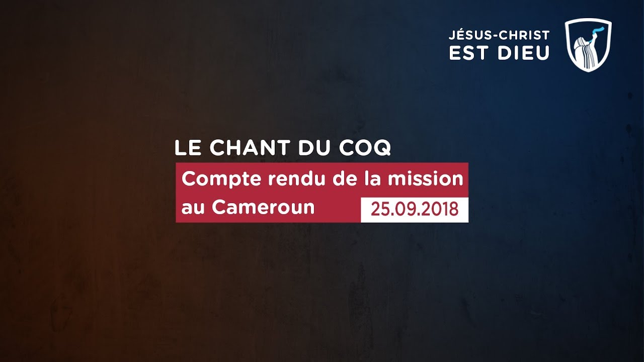 Thumbnail of video: Compte rendu de la mission au Cameroun