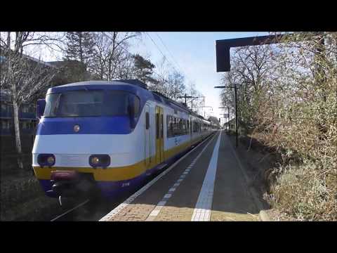 Treinen op station Den Dolder (NL)