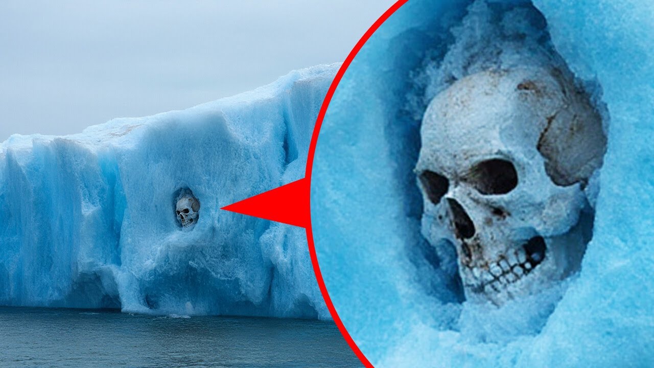 Находки в Антарктиде, которые оставляют экспертов с большими вопросами