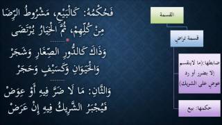 صورة النظم الجلي في الفقه الحنبلي285- شرح/ عامر بهجت (حكم قسمة التراضي - ضابط قسمة الإجبار)