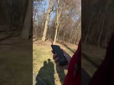 (iosif sardaru) me ciaililem te mai roav)