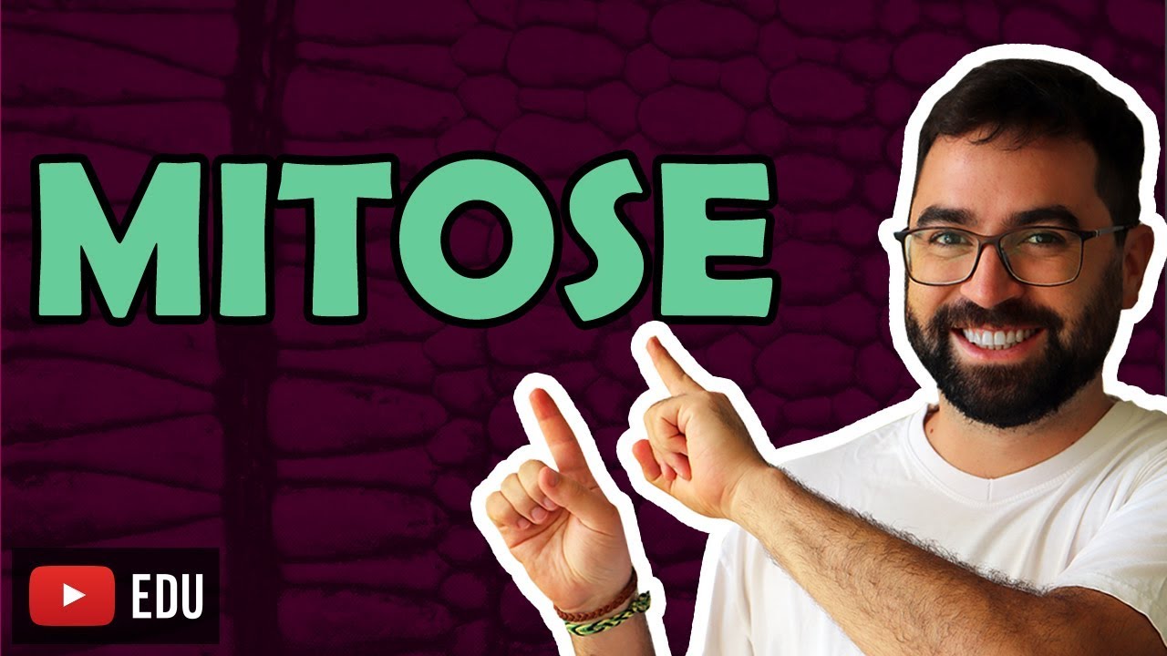 Mitose - Aula 32 - Módulo I: Biologia Celular | Prof. Gui