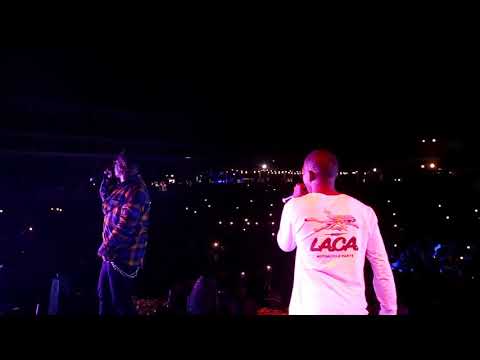 Cotton Fest Performance Dr.Peppa x Chang Cello x Lucasraps x RikyRick -  WHAT IT IS