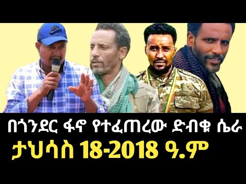 በቃላት እጅ በተግባር አንድ ያልሁኑት የጎንደር ፋኖዎች ጉዳይ | Gonder Fano | Amhara Fano