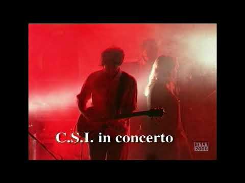 CSI in Concerto  - "Forma e sostanza" Urbino 1998