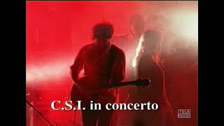 CSI in Concerto  - &quot;Forma e sostanza&quot; Urbino 1998