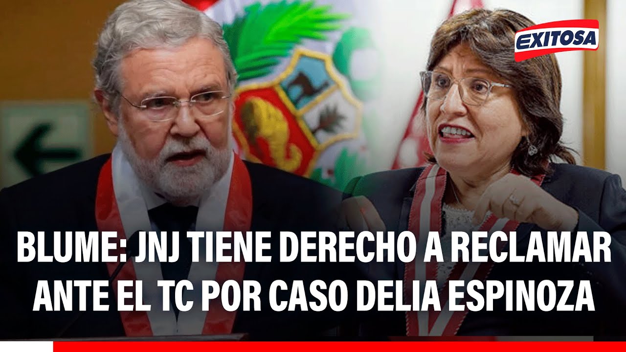 🔴🔵Ernesto Blume: JNJ tiene derecho de reclamar "un acto invasivo" del PJ en caso Delia Espinoza